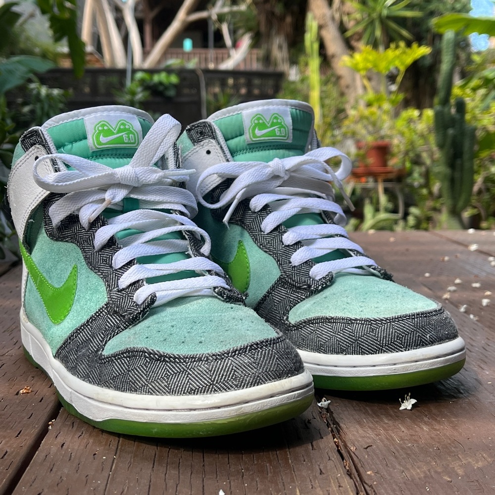 Nike 6.0 dunk bmx